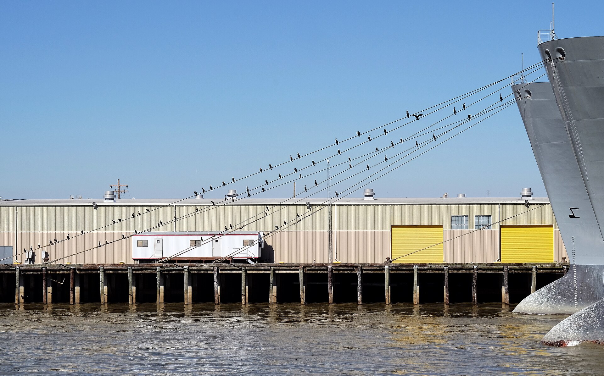 Birds rest on utility poles near a pier and industrial building by the waterfront, illustrating concepts in jazz.